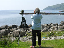 Watching for Sea Eagles