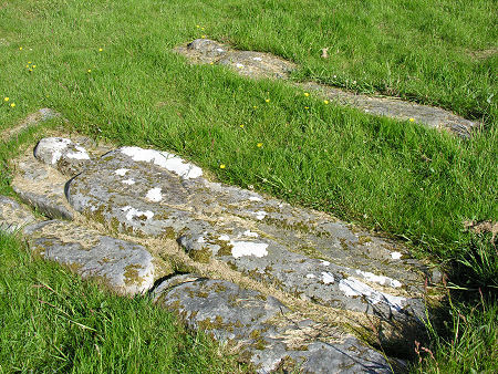 Effigies of a Knight and His Lady