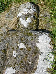 Upper Half of the Knight