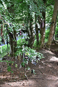 Same Area in June 2022