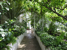 Inside one of the Conservatories