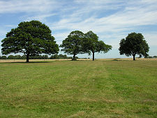 Estate Parkland