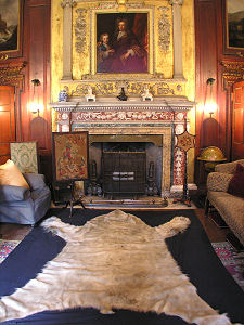 Library Hearthrug