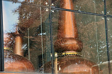 Exterior View of Stills