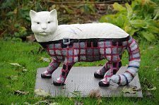 Wildcat in Clan Macpherson Tartan