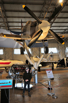 Spitfire, and Young Visitor