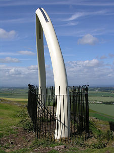 New Whalebones in 2008