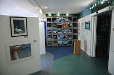 The Environment Zone