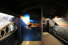 The Migration Flyway