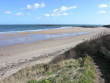 Seacliff Beach, Looking East