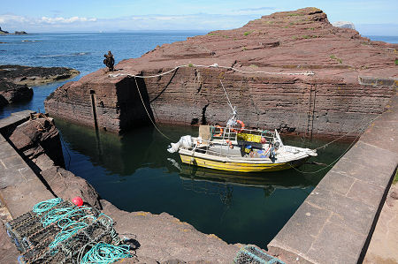 Seacliff's Tiny Harbour