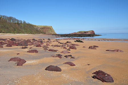 At Low Tide Everything Takes on a Much Redder Hue