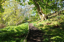 Path Up to the Castle