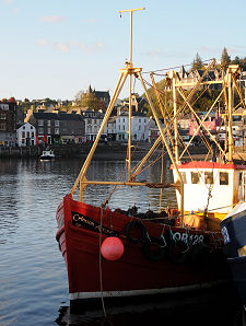 Fishing Boats in Evening Sunlight