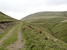 Ben Ever from Silver Glen