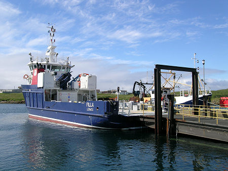 Filla at Out Skerries