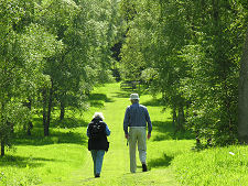 A Path Through the Garden