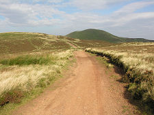 First Glimpse of Allermuir Hill