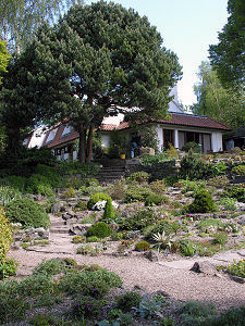 Rockery and House