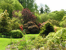 Upper Area of Garden