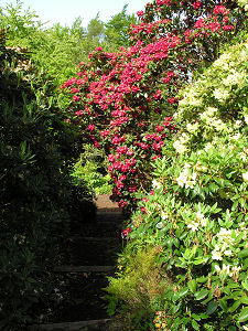 Garden Path