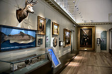 The Record Tay Salmon