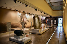 Ground Floor Display