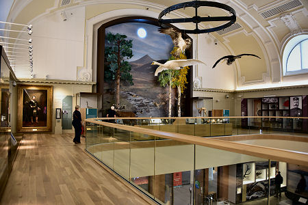 The Upper Floor of the Museum