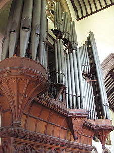 The Organ