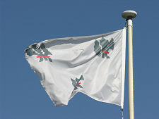 Irvine Family Flag on Tower  Roof