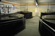 Oregon Pine Washbacks