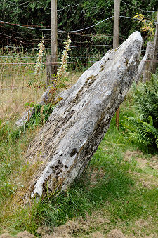 Another View of the Largest Stone