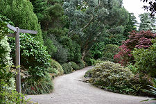 Hillside Pathways