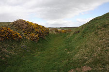 Inside the Ditch at the North-West End