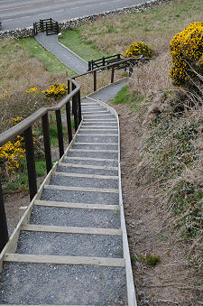 Looking Down the Steps