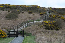 Steps Leading Up from Road
