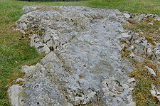 Stone in Main Enclosure