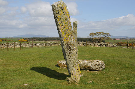 Another View of the Stones With Two Standing in April 2010