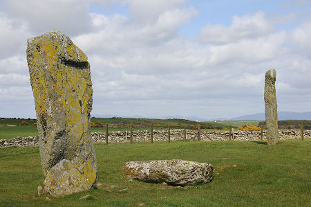 Dumtroddan Standing Stones in April 2010 With Two Standing
