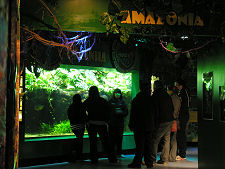 Amazonia: A Talk About Piranhas