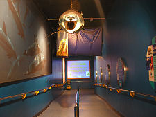 Ramp to Underwater Tunnel