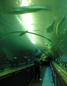 Another View of the Tunnel