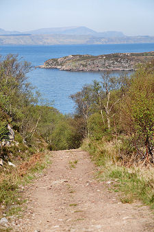 The Track North Beyond the Road