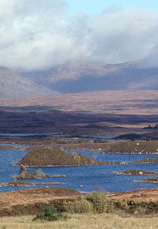 The View North-East Over the Moor