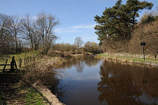 Canal West of the Aqueduct