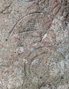 Detail of the Carving