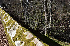 Kirkyard Wall and Ravine