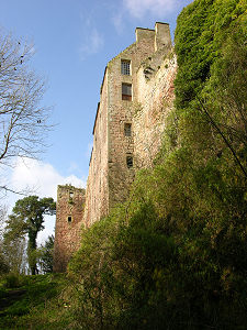 Looking up from the South-East