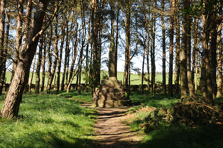 Percy's Cross with the Site of the Battle Beyond