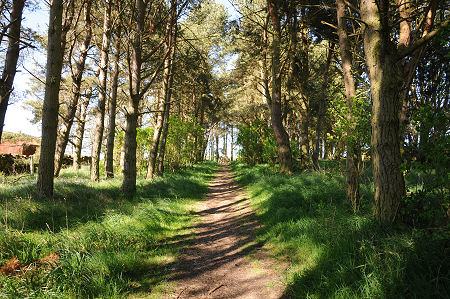 The Path to the Cross from the Parking Area